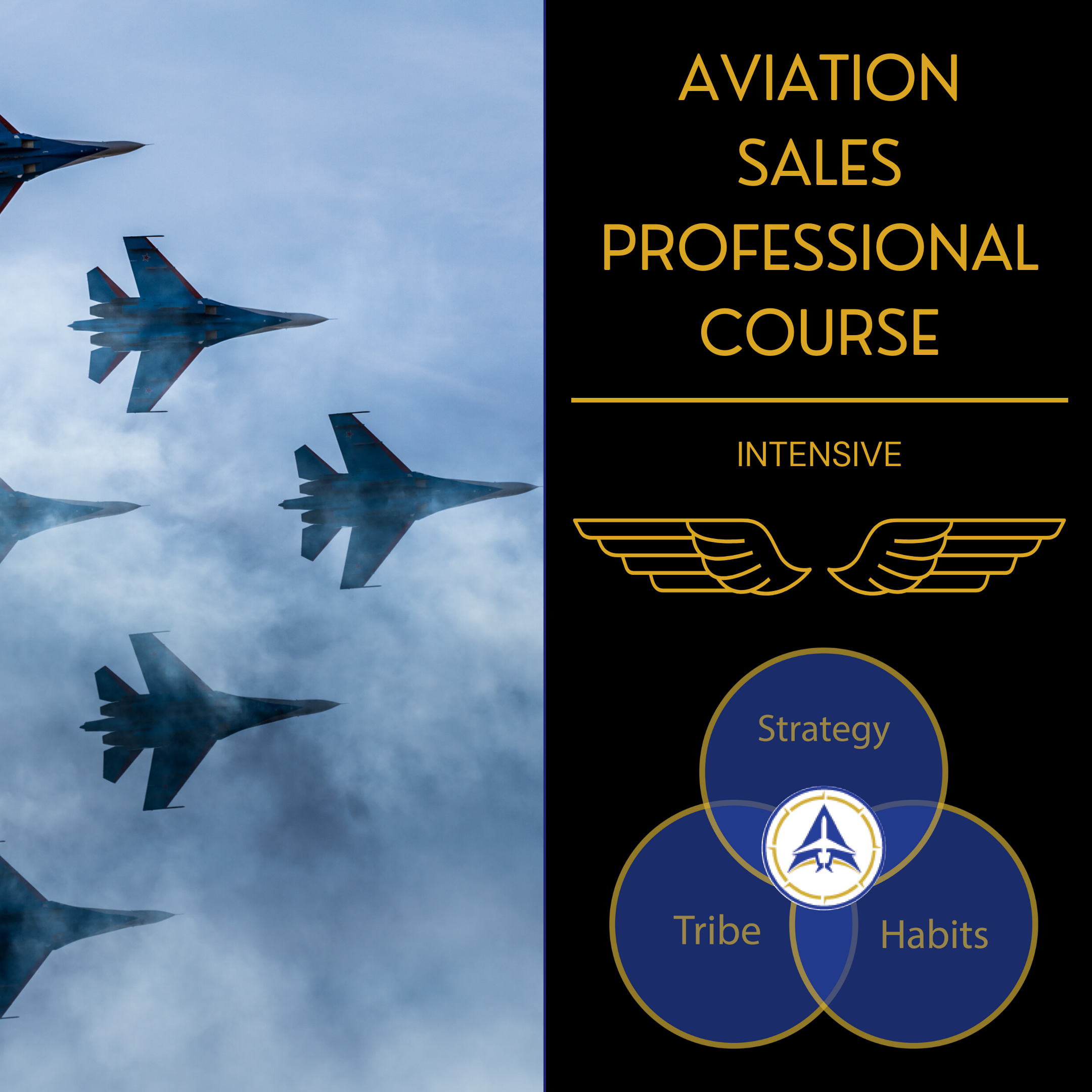 Aviation Sales Professional Course