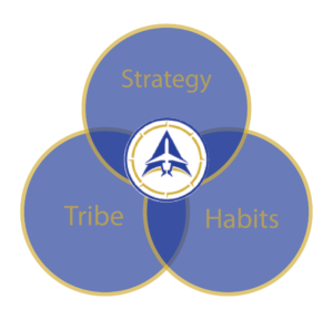 Strategy-Tribe-habits