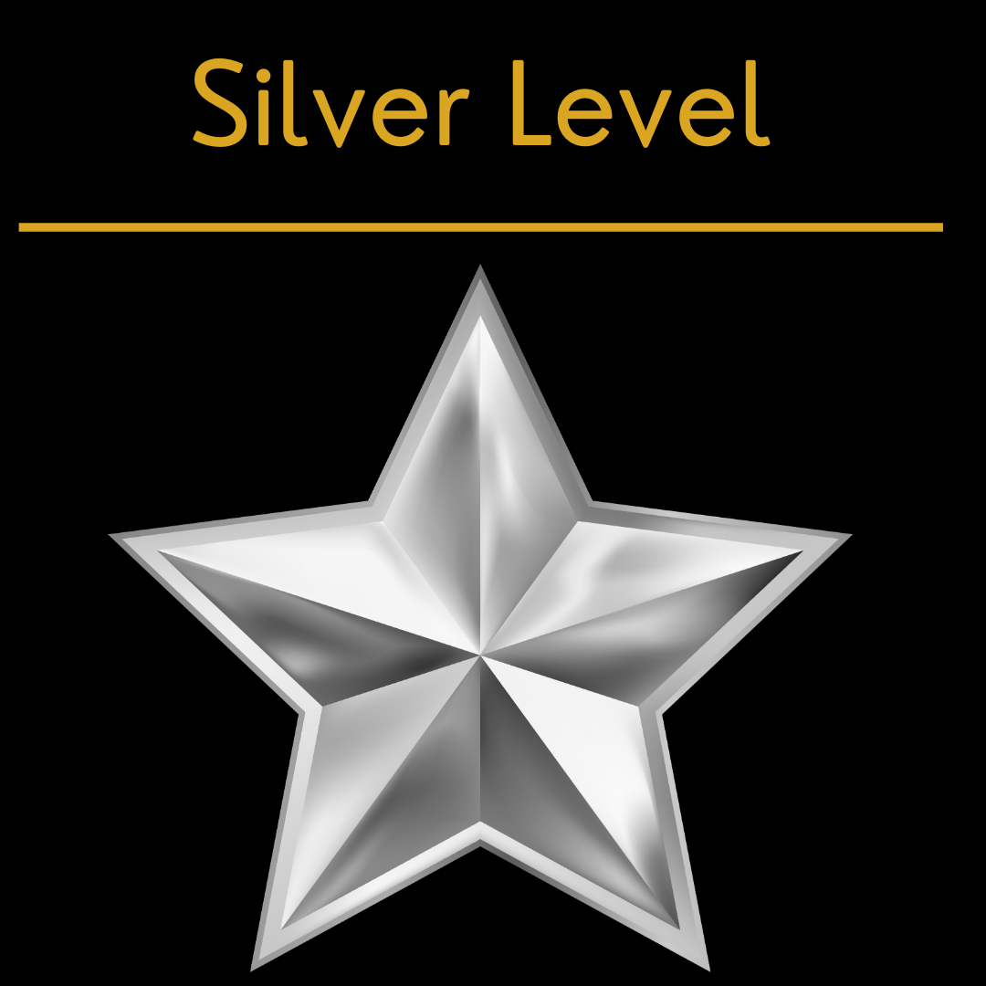 Marketing Lab – Silver